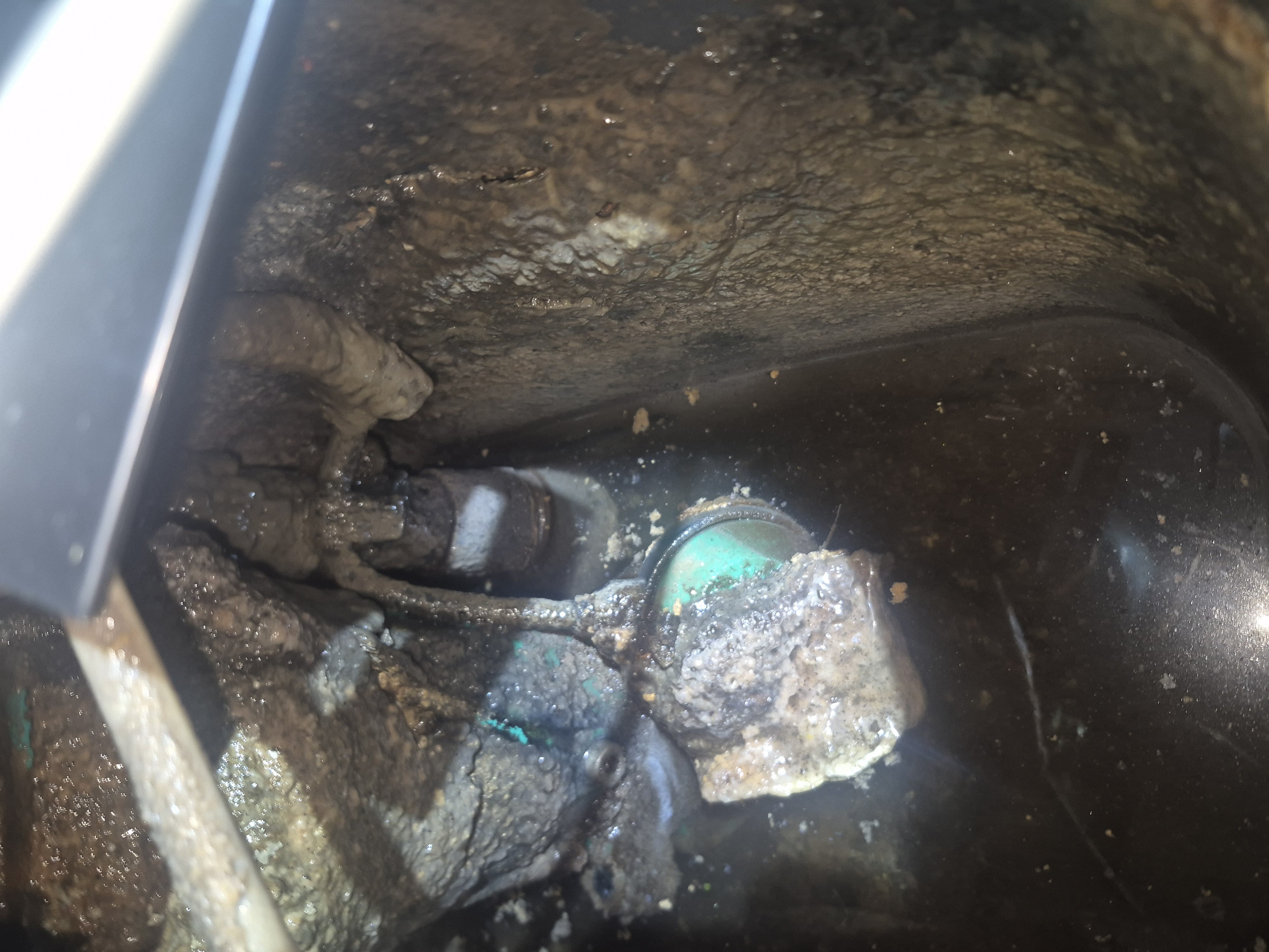 하수구 냄새 자가진단 과정