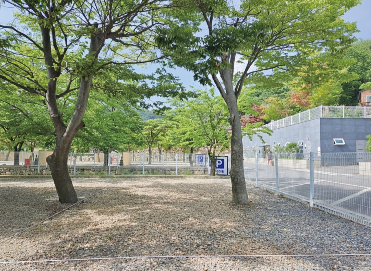 캠프포레스트 전경 — 푸른 단풍나무와 캠핑 사이트