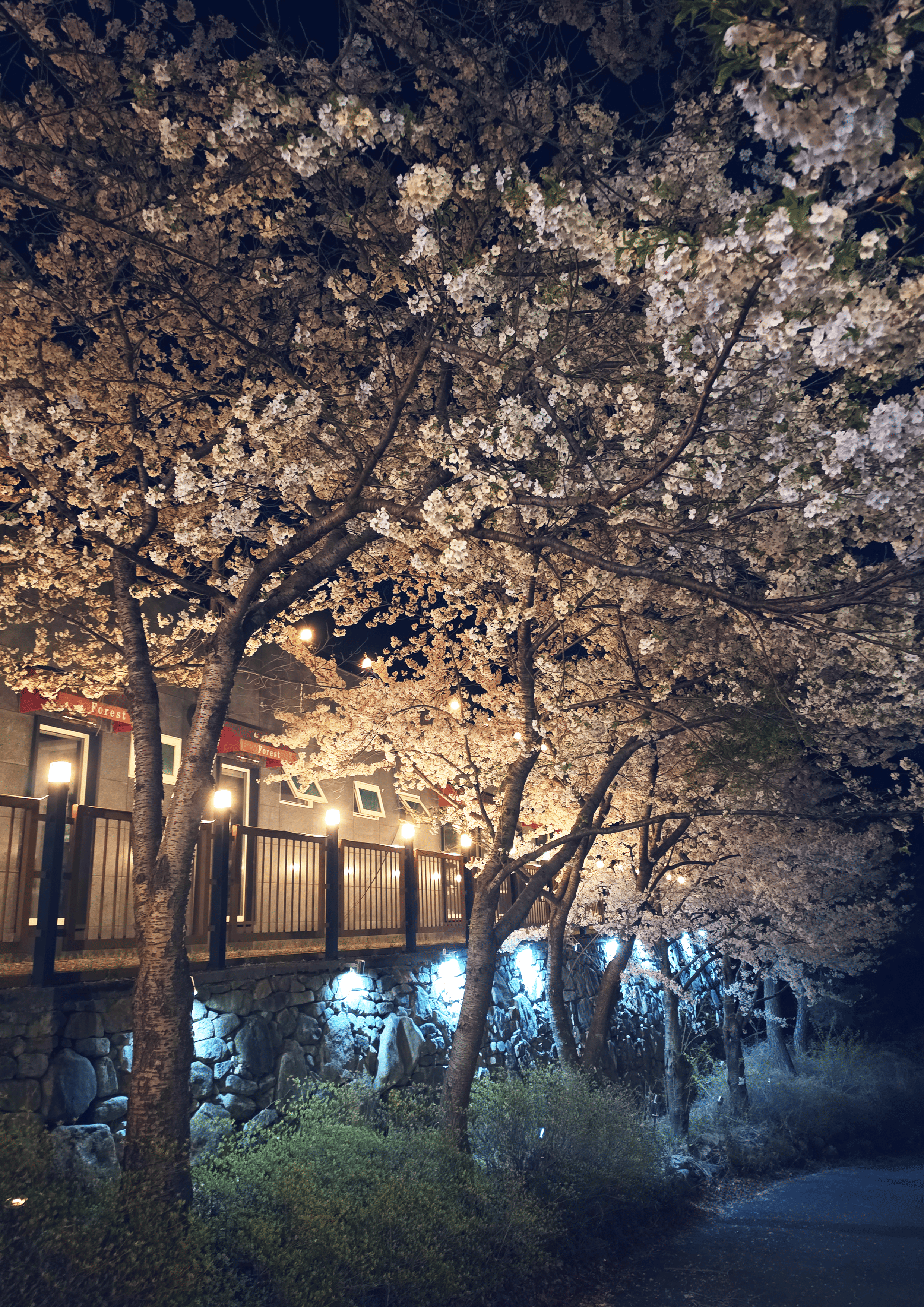 캠프포레스트 시설 전경