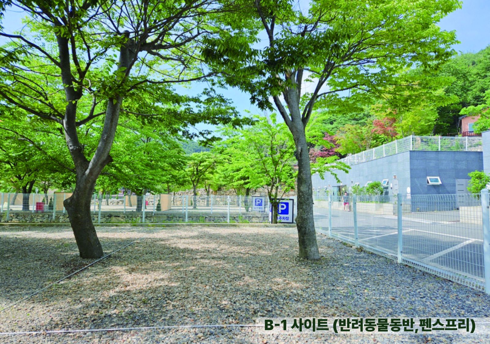 B사이트