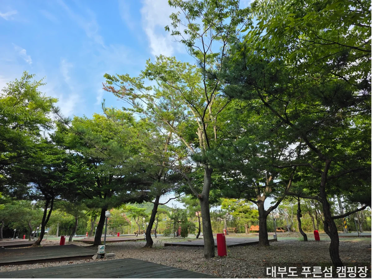 바베큐 음식 — 캠핑 요리와 불멍 분위기
