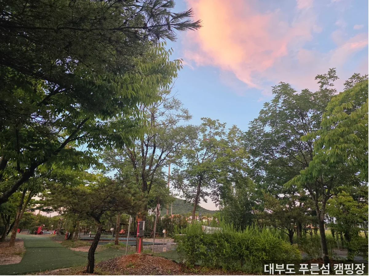 봄 캠핑 떠나기 좋은 대부도 바닷가 캠핑장, 이렇게 달랐습니다