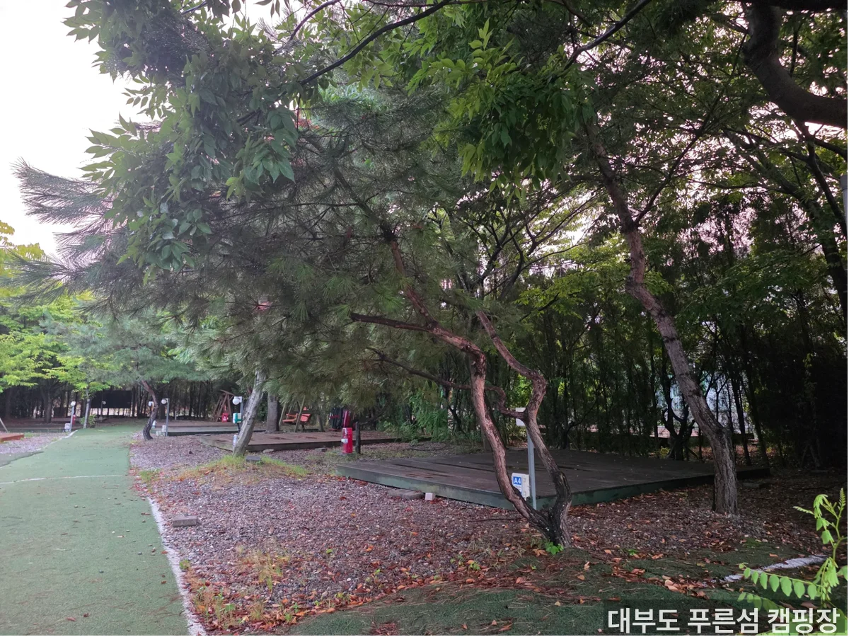 대부도 푸른섬 캠핑장 시설 상세 — 반려견 동반 캠핑 가능