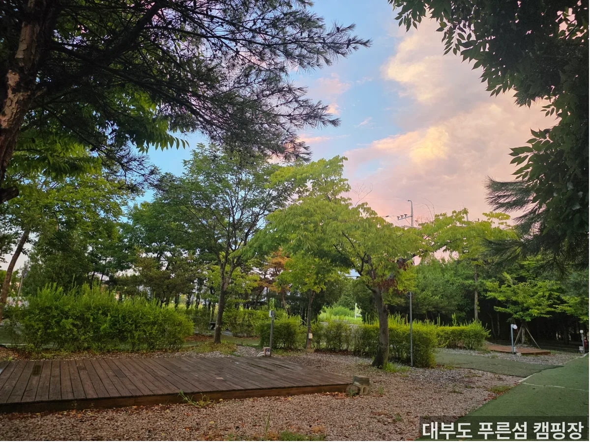대부도 푸른섬 캠핑장 외부 전경 — 푸른섬캠핑장 사이트