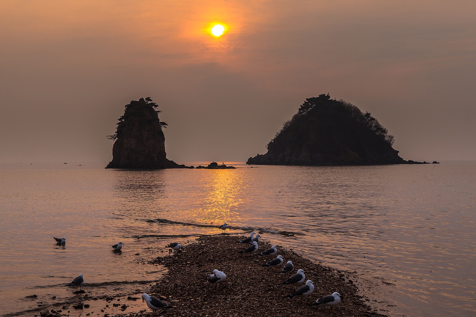 꽃지해수욕장