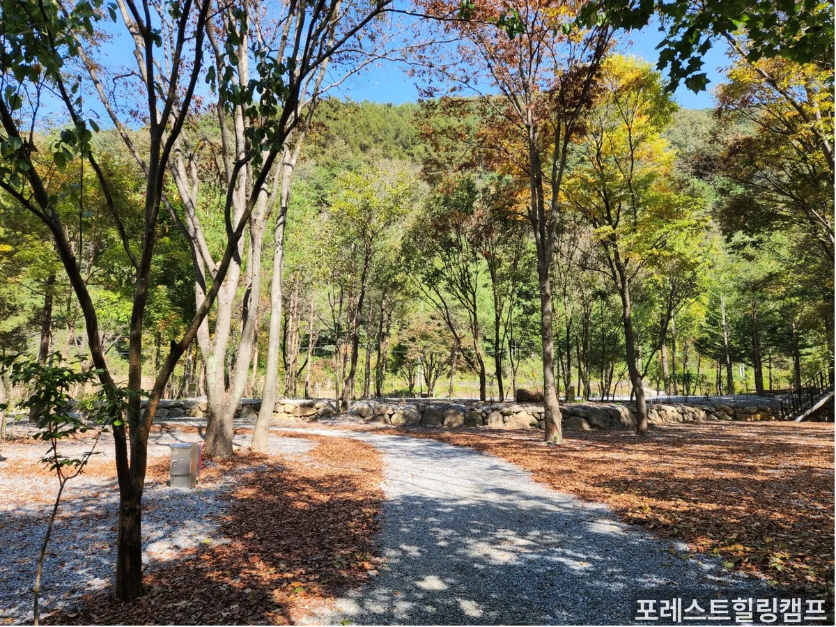 캠핑장 시설 전경 - 단양 처음 가는 카라반 캠핑장 내부 모습