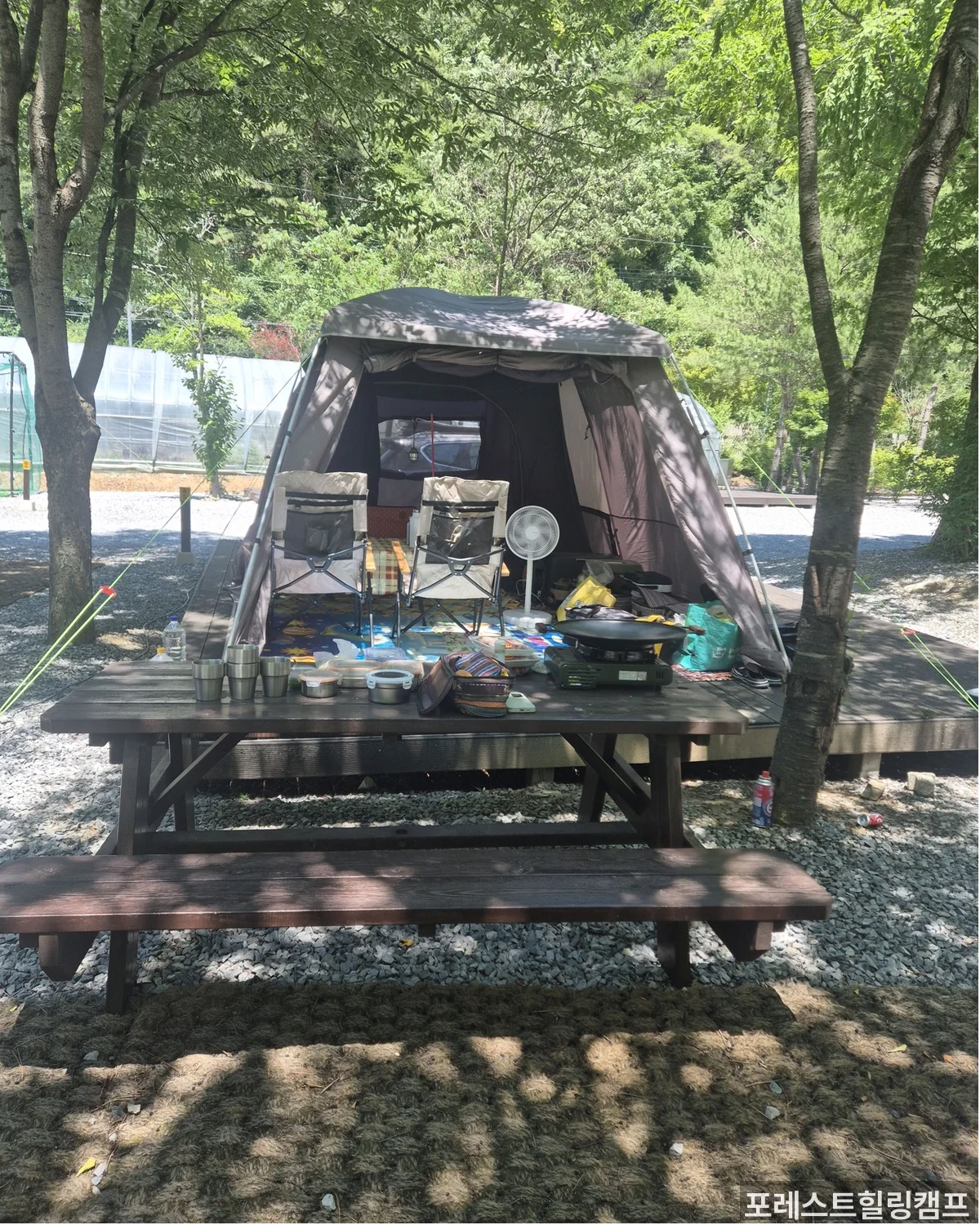 포레스트힐링캠프 facility