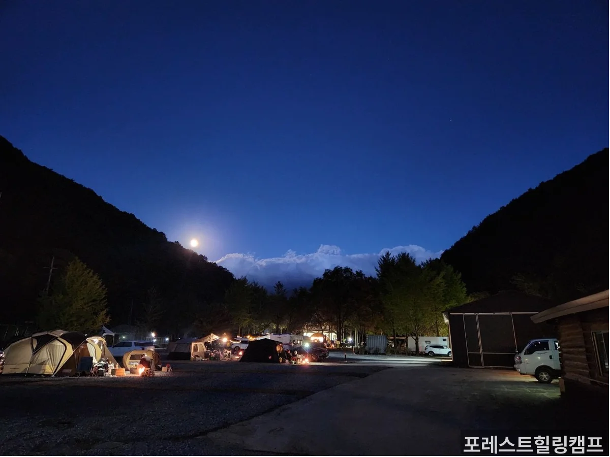 포레스트힐링캠프 메인 전경