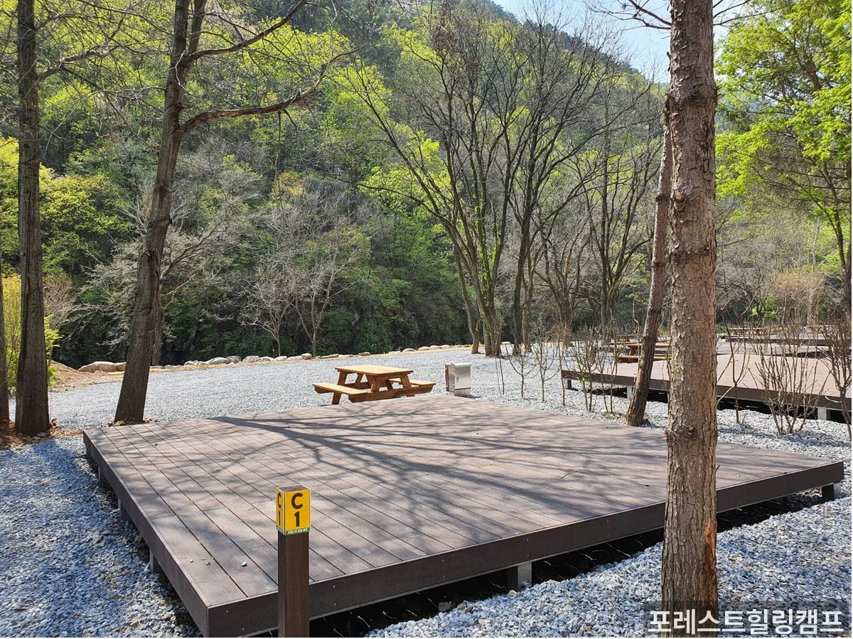 계곡 주변 캠핑 환경
