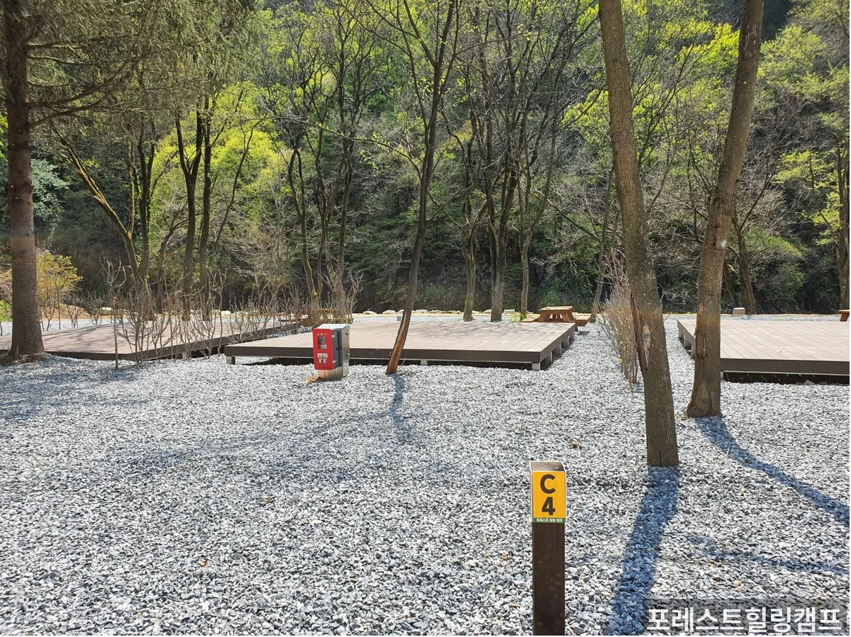 포레스트힐링캠프 캠핑 사이트 전경