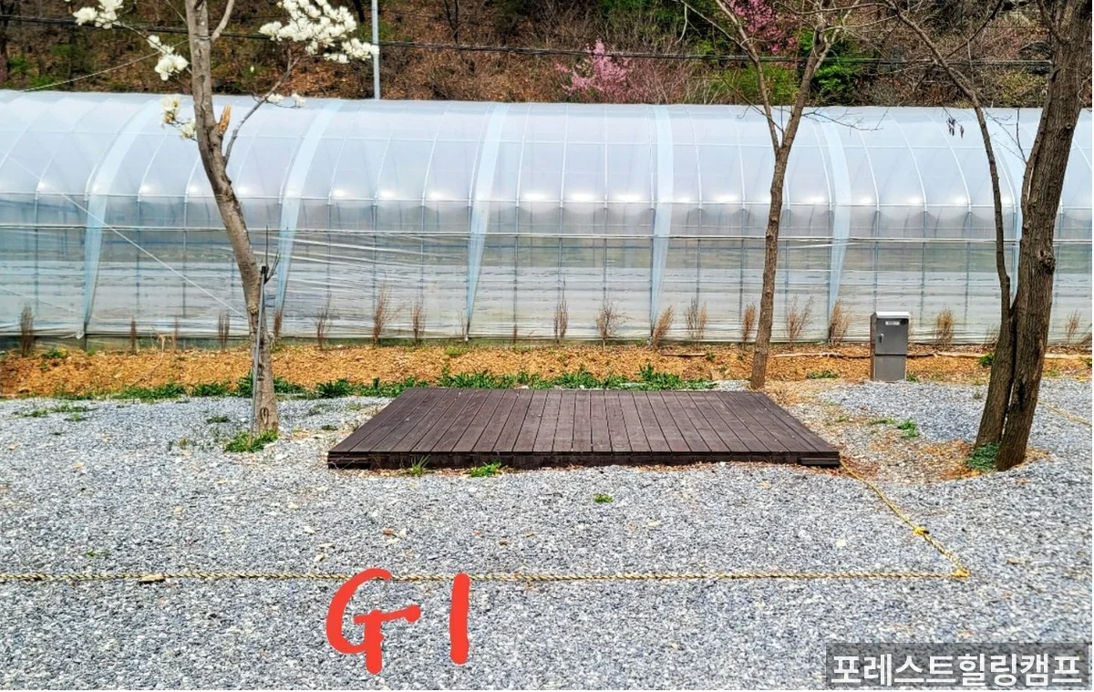 포레스트힐링캠프 메인 전경