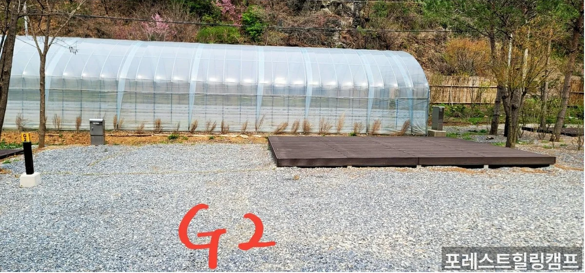 포레스트힐링캠프 계곡 및 자연환경