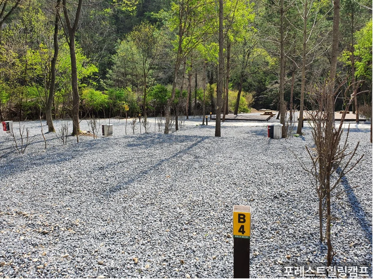 캠핑장 사이트 및 시설 — 데크와 오토캠핑 구역