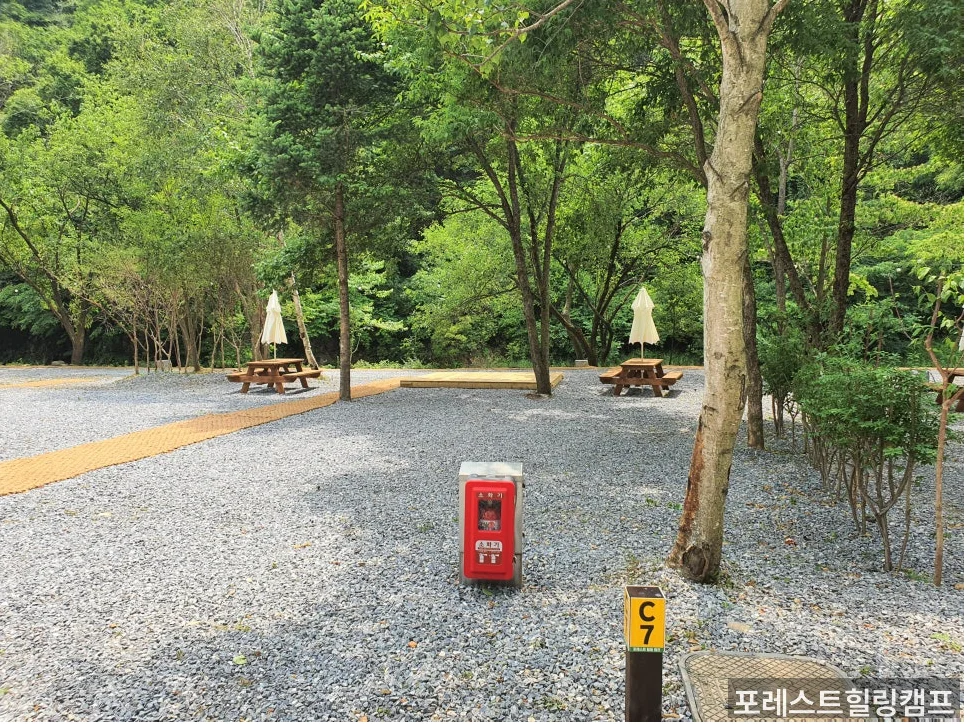 포레스트힐링캠프 자연 환경 사진