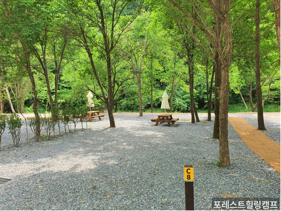 포레스트힐링캠프 운영 안내 또는 타임 안내 이미지