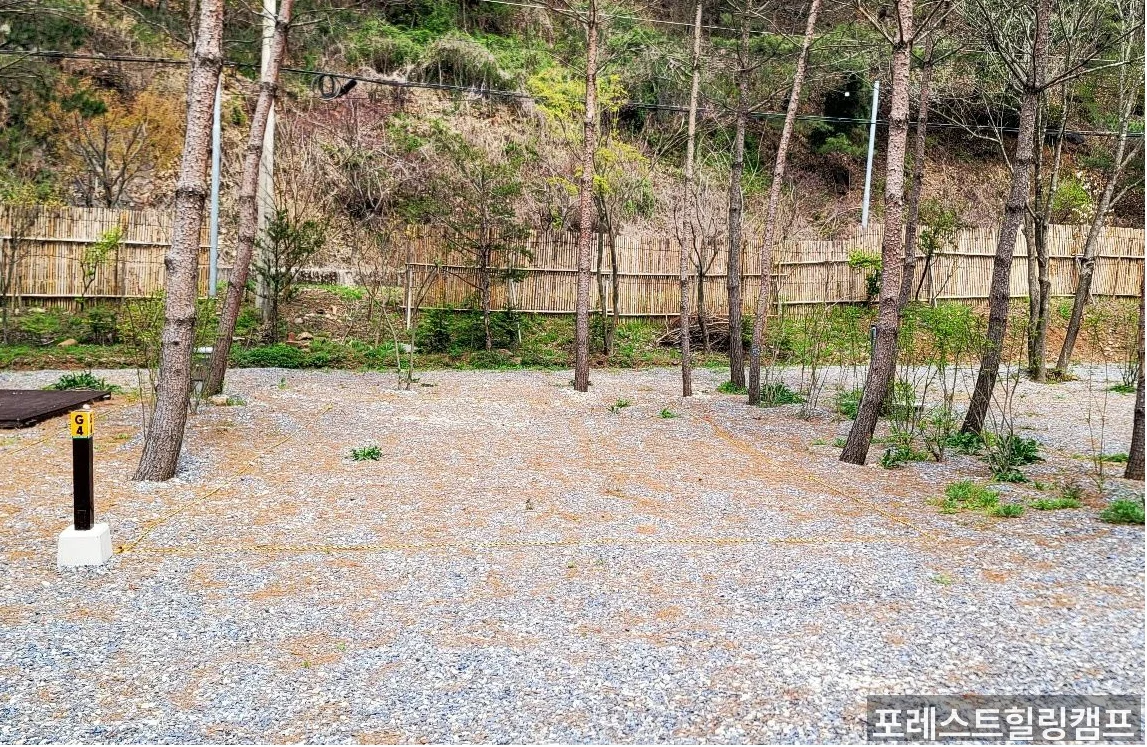 포레스트힐링캠프 캠핑 사이트 전경