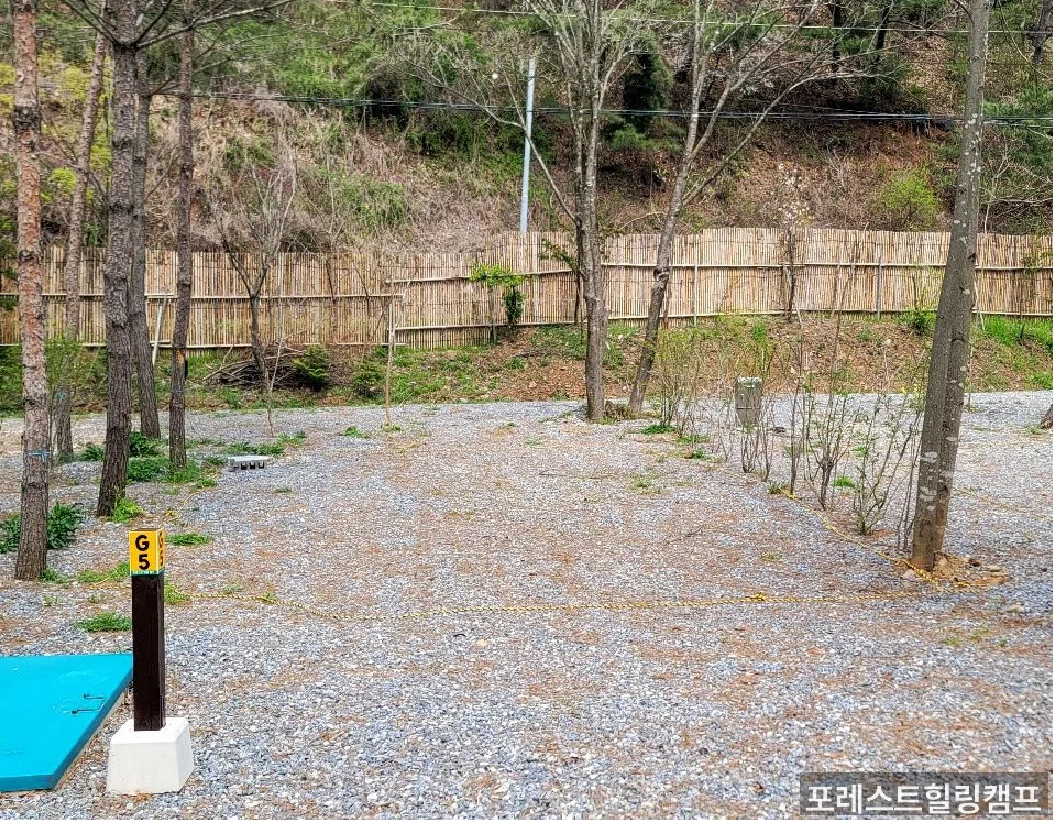 포레스트힐링캠프 메인 전경 — 대전 근교 겨울 바베큐 캠핑장