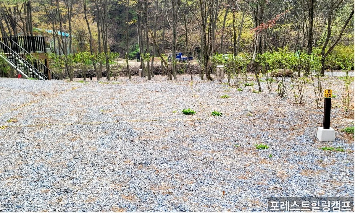 포레스트힐링캠프 캠핑사이트 전경 — 대전 근교 오토캠핑