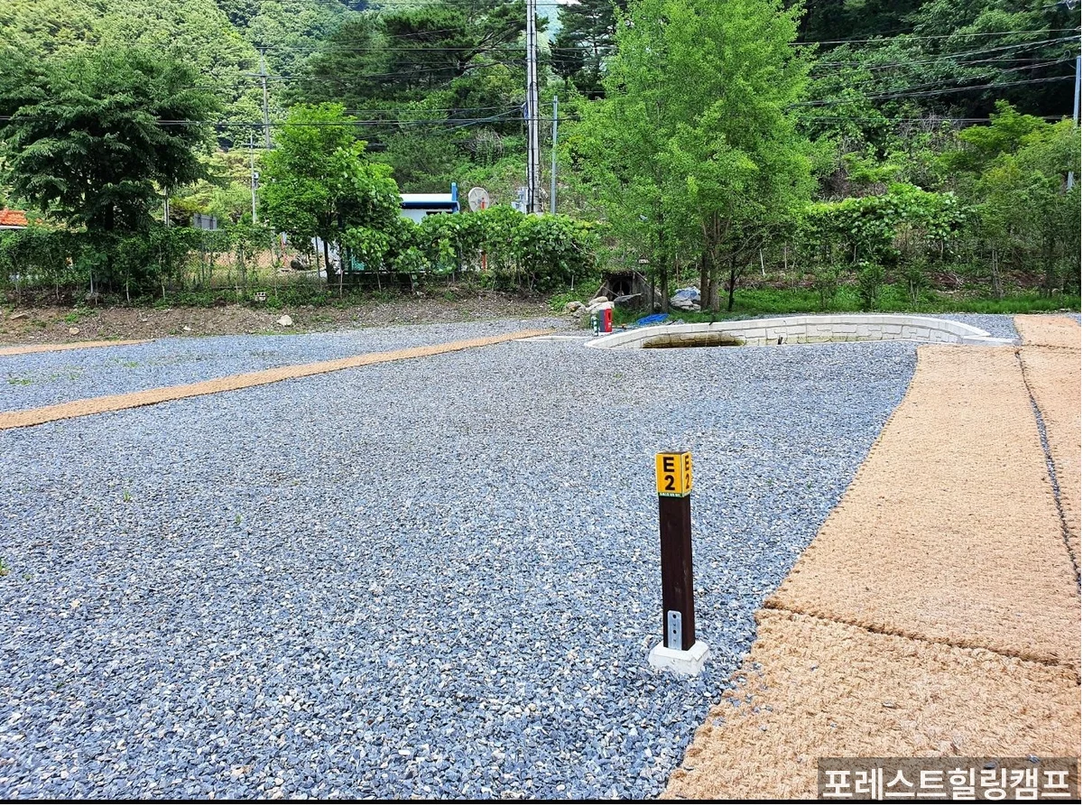 포레스트힐링캠프 메인 전경 - 대전 근교 가을 오토캠핑장