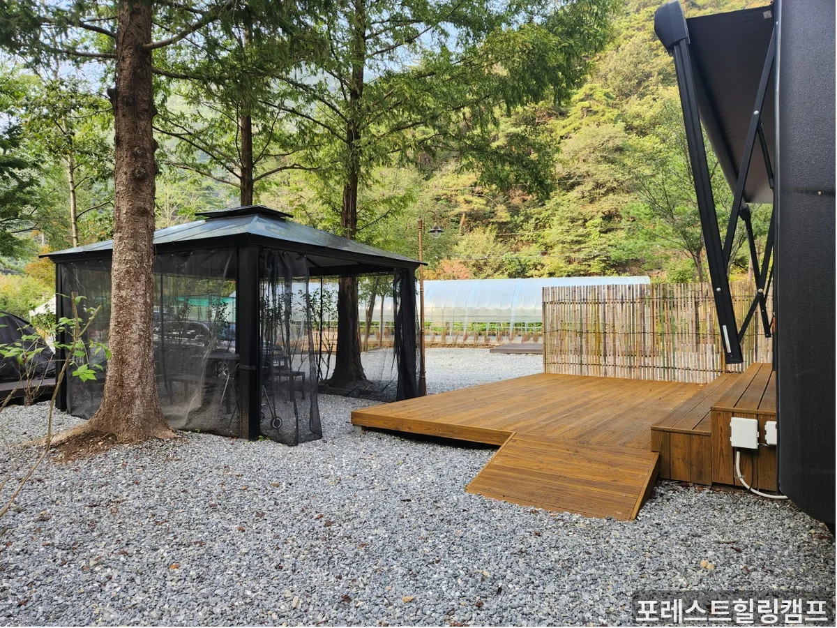 포레스트힐링캠프 메인 전경