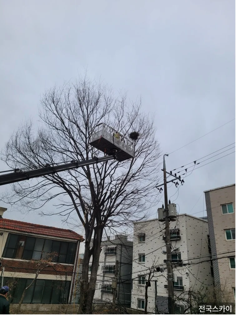 부천 스카이차