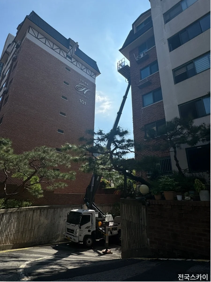 강남구 스카이차, 도곡동 빌딩 점검과 간판 철거