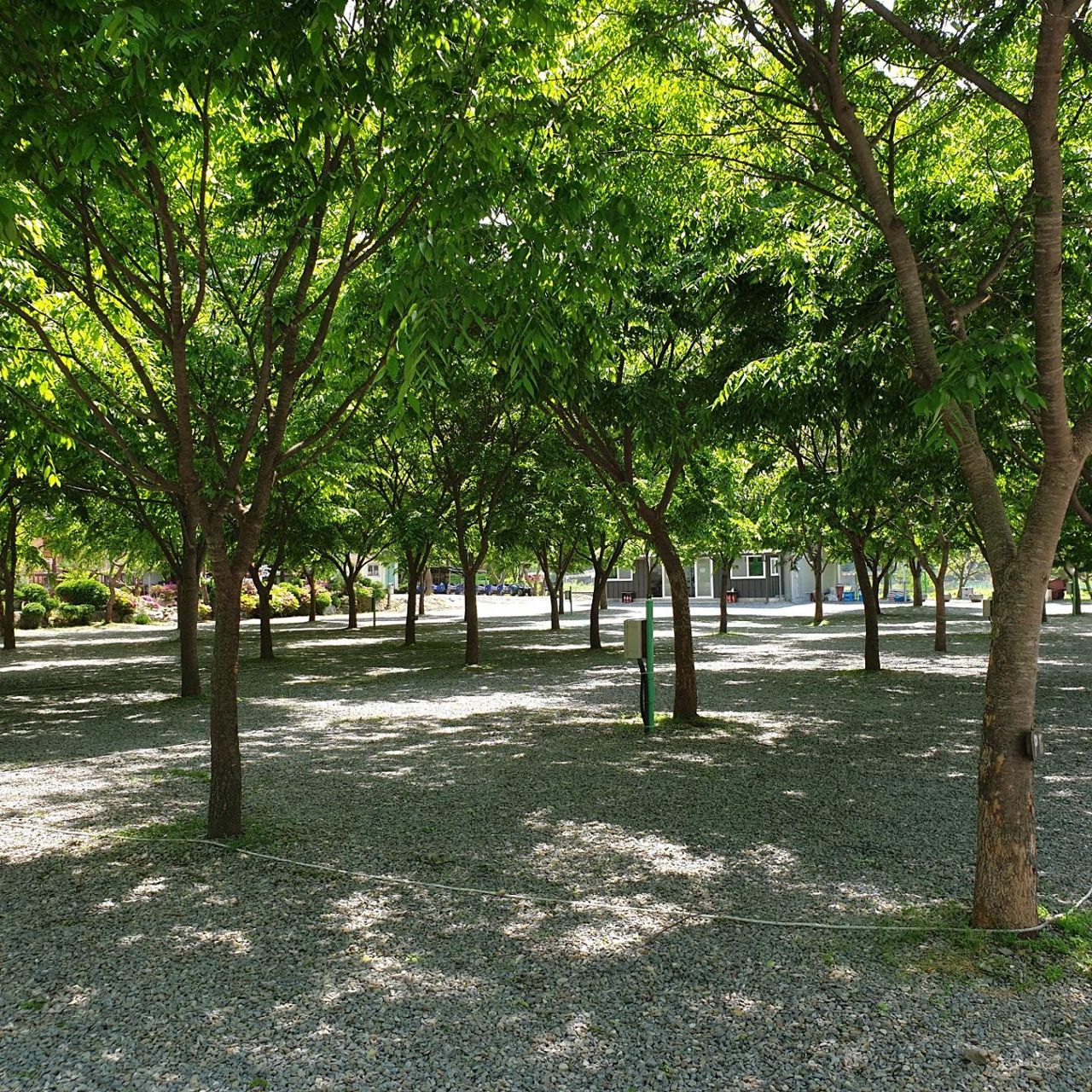 P 파쇄석 (반려견 동반)