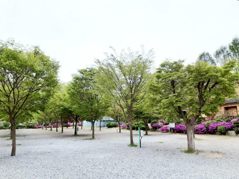 P 파쇄석 (반려견 동반)