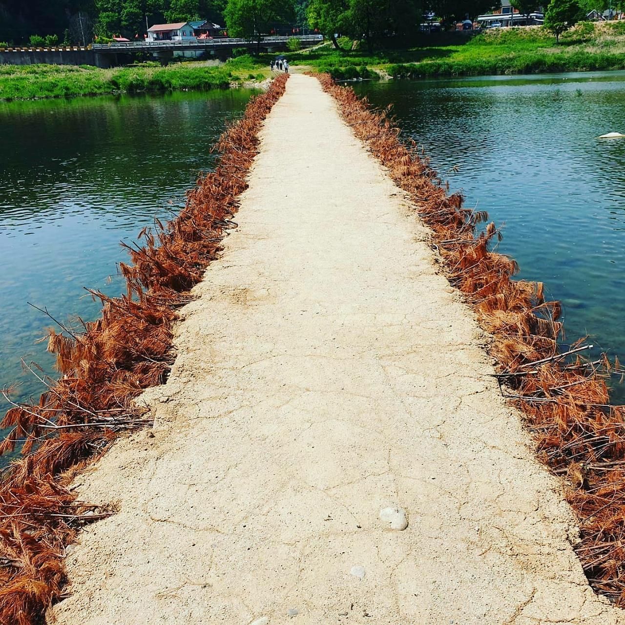 P 파쇄석 (반려견 동반)