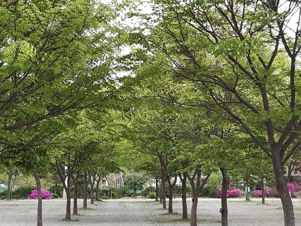 P 파쇄석 (반려견 동반)