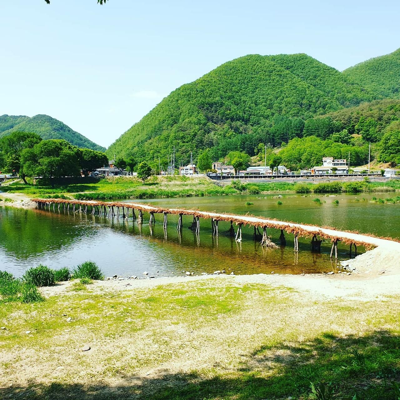 P 파쇄석 (반려견 동반)