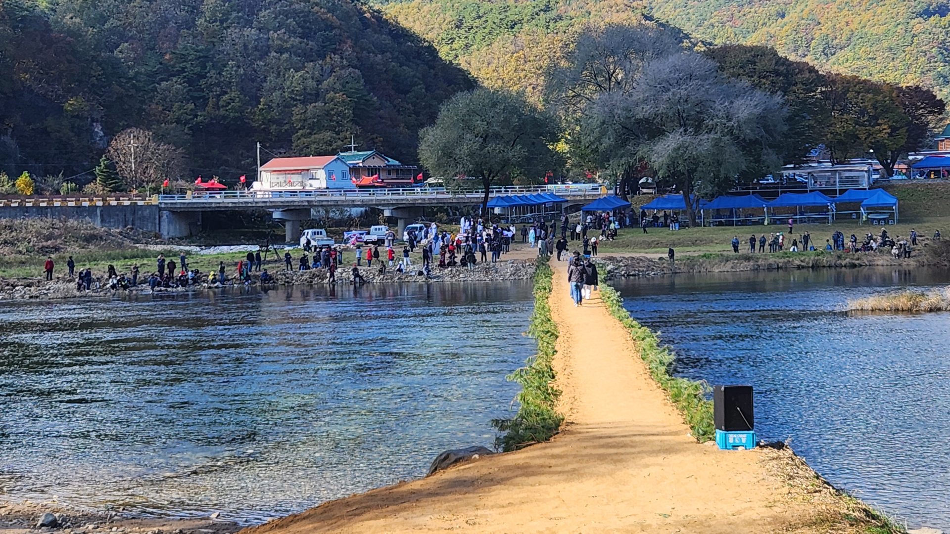 다그린캠핑장 전경 - 강원 가을 독채 캠핑장