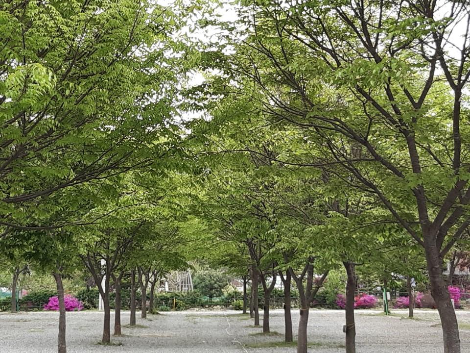 P 파쇄석 (반려견 동반)