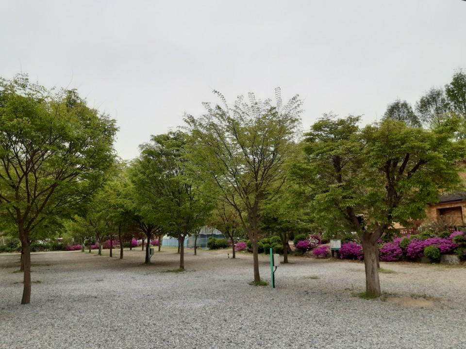 P 파쇄석 (반려견 동반)