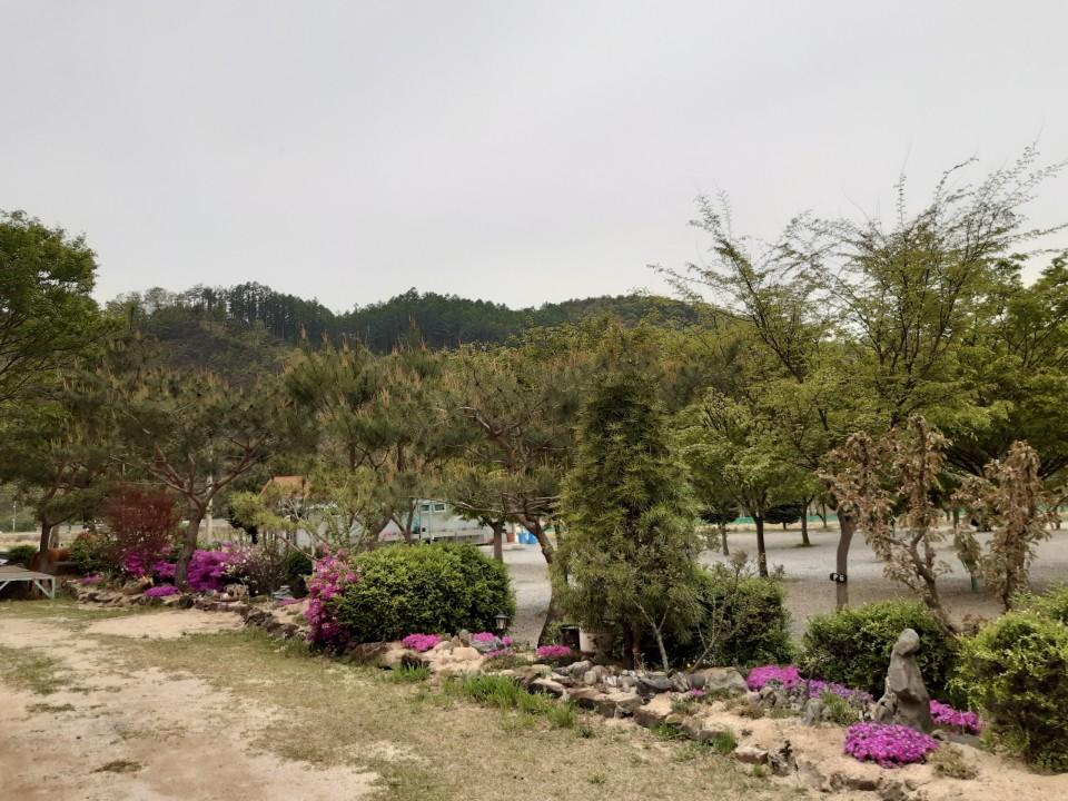 P 파쇄석 (반려견 불가)