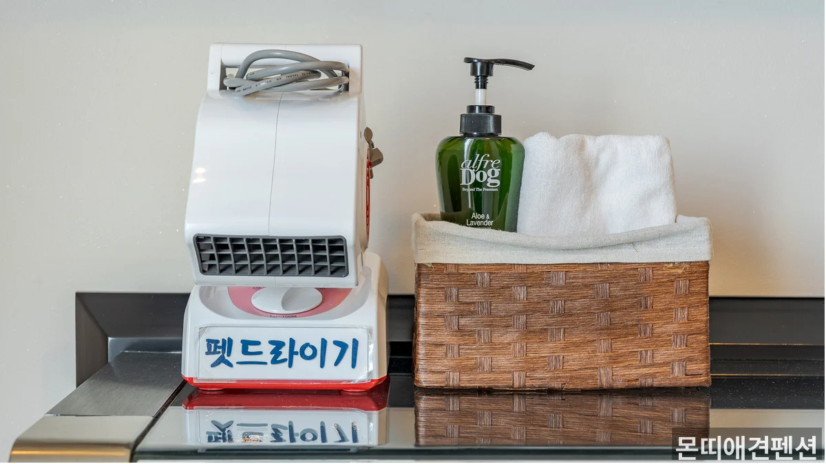 펜션 야외 공간 — 가을 양양 펜션 분위기