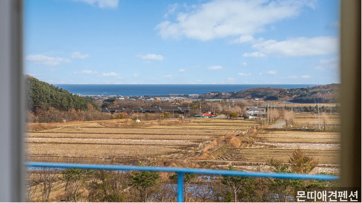 몬띠애견펜션 반려견 동반 시설 — 강원 아이랑 가기 좋은 펜션 애견동반
