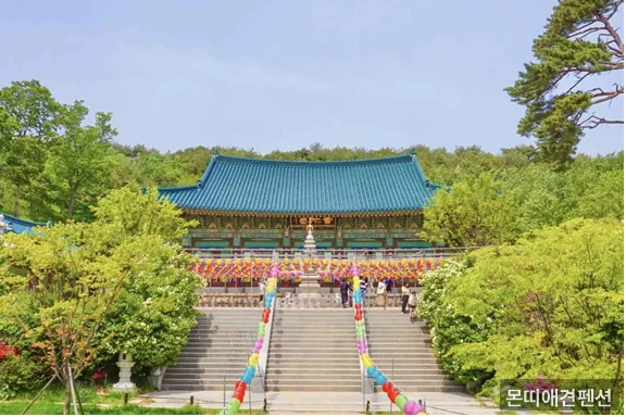 몬띠애견펜션 전경