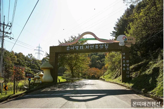 펜션 외관 또는 객실