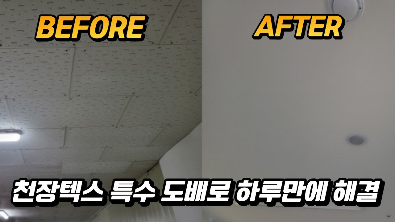 강동구 곰팡이 제거, 현장 전문가가 직접 알려주는 완벽 가이드