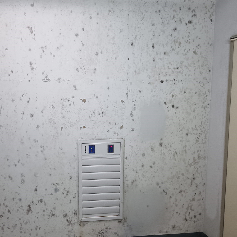 전기 용량 산정 완전 가이드 — 기본 계산법부터 안전 시공까지 모든 것