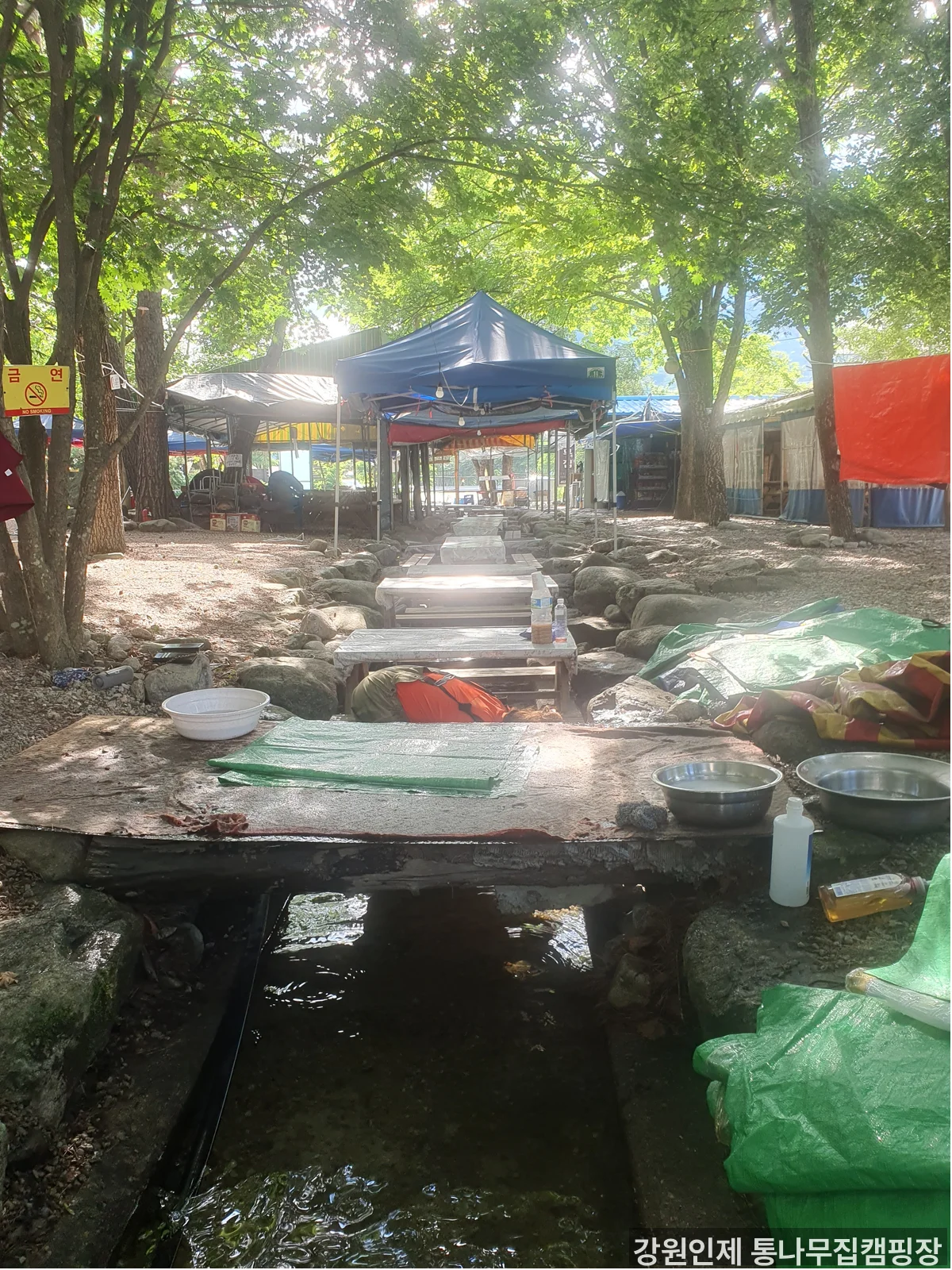 강원인제 통나무집캠핑장 전경