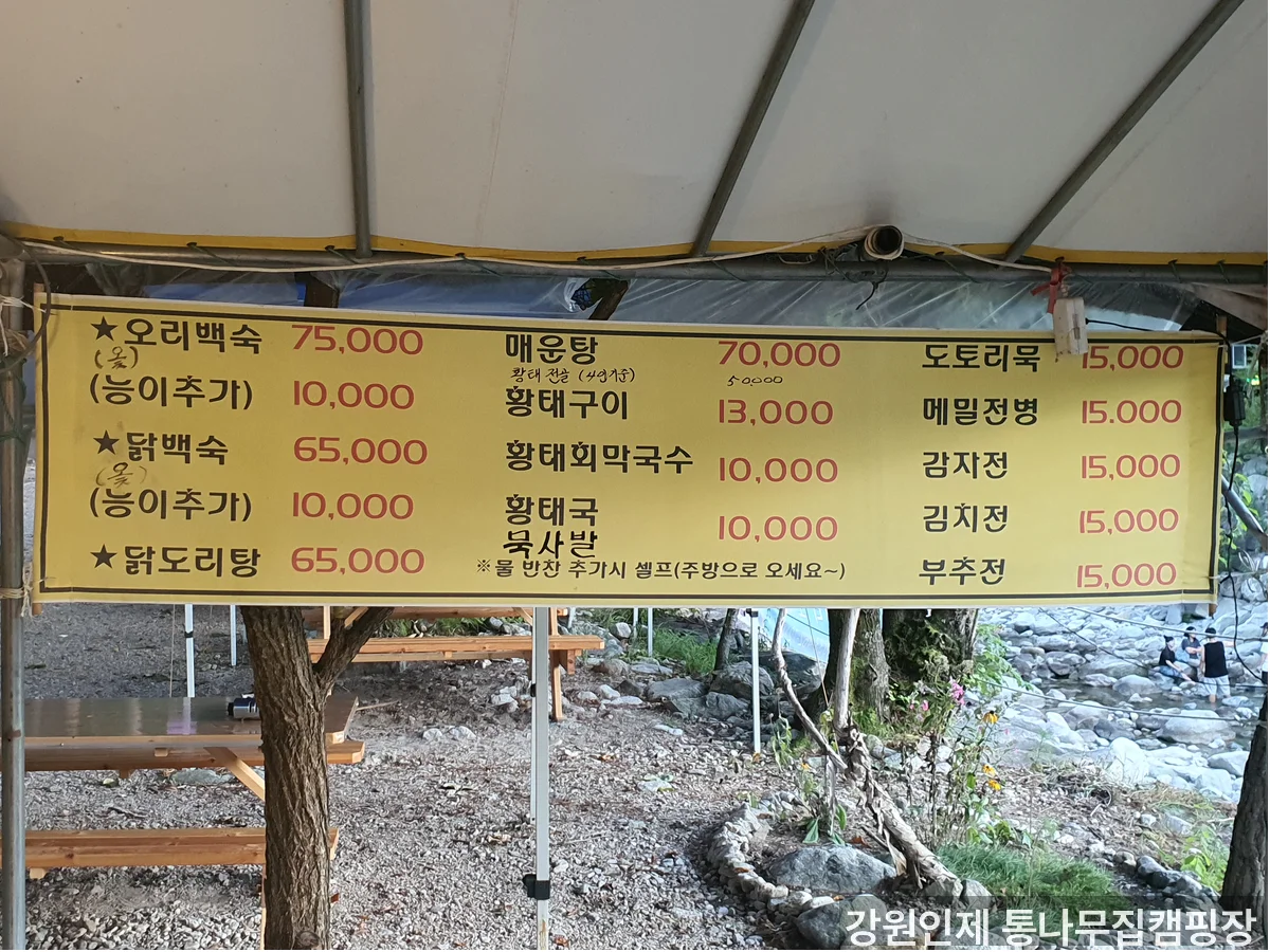 캠핑장 야외 공간 - 반려견 동반 인제 캠핑장