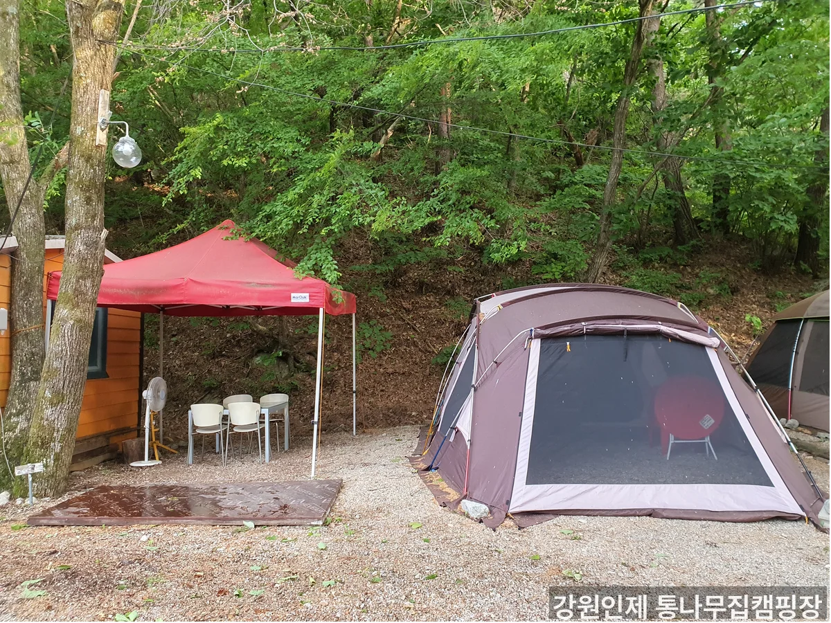 캠핑장 내부 시설 전경 - 인제 겨울 캠핑장 추천