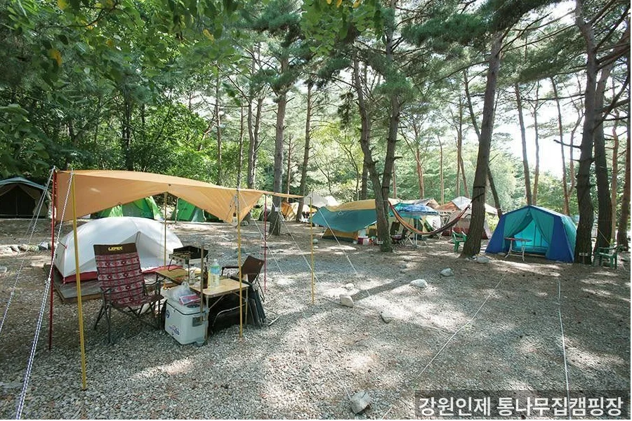 강원인제 통나무집캠핑장 전경 - 강원도 아이랑 가기 좋은 캠핑장