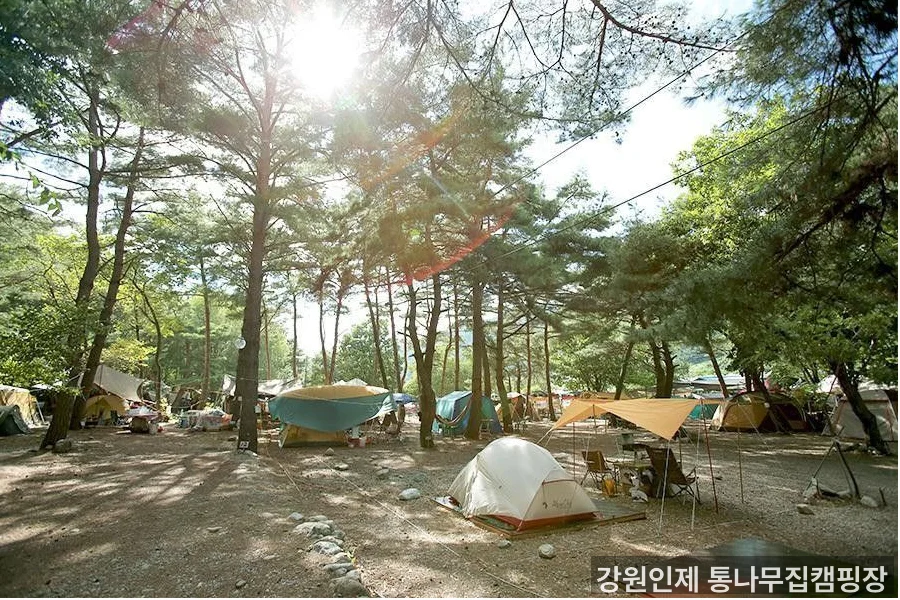 강원인제 통나무집캠핑장 캠핑 사이트 - 강원도 바베큐 캠핑장