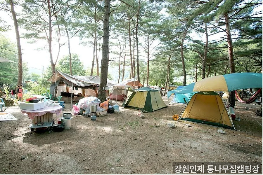 강원인제 통나무집캠핑장 계곡 주변 - 강원도 초보 캠핑장 가을 추천