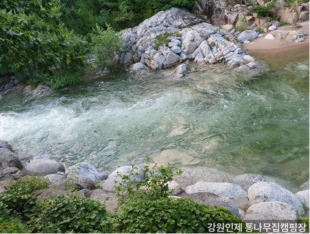 강원인제 통나무집캠핑장 시설 내부 - 강원도 반려견 캠핑장 시설