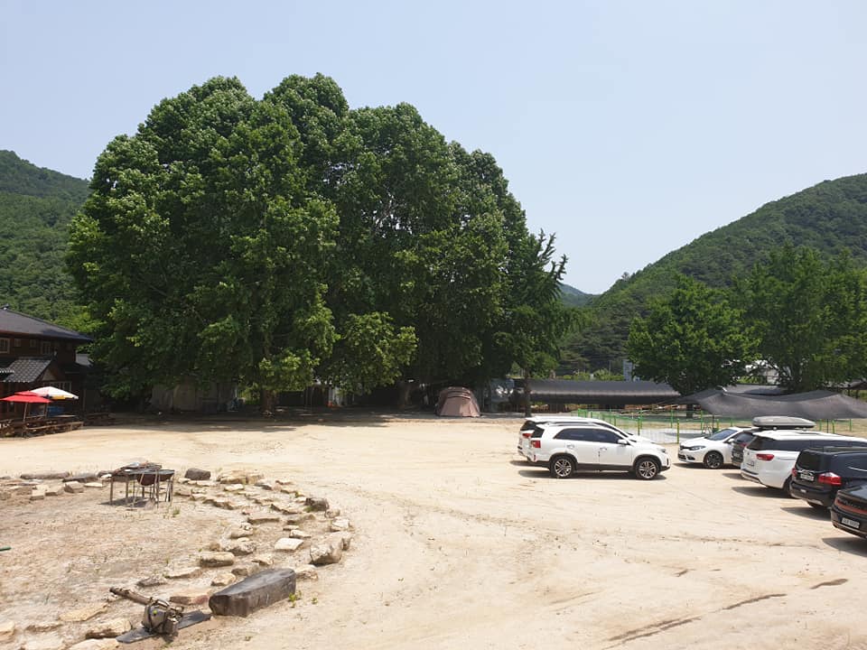 캠핑장 사이트 및 데크 구역