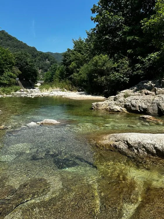 도마치캠핑장 — 경기 포천의 오토캠핑 전경
